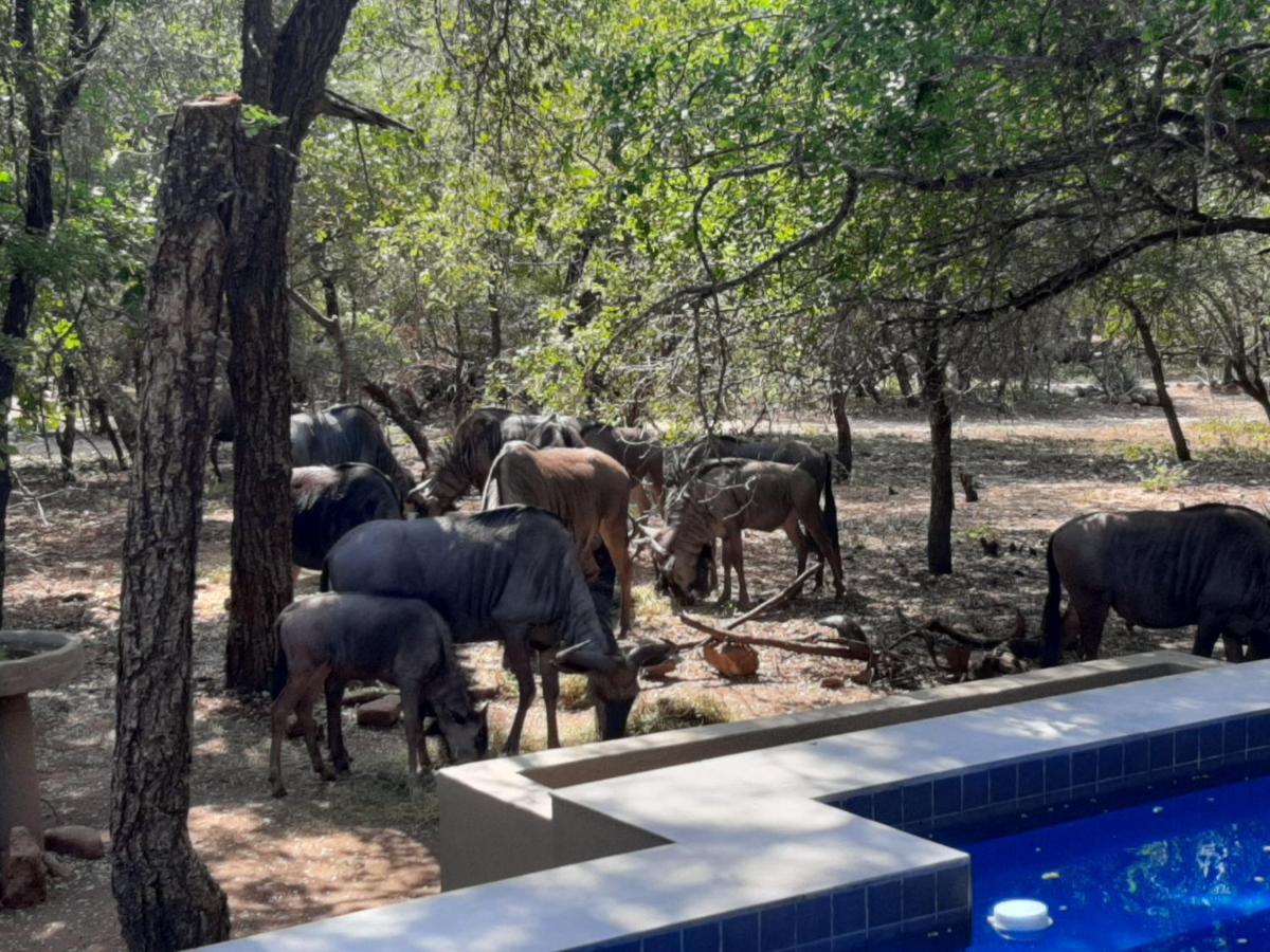 African Sky Villas Marloth Park Extérieur photo
