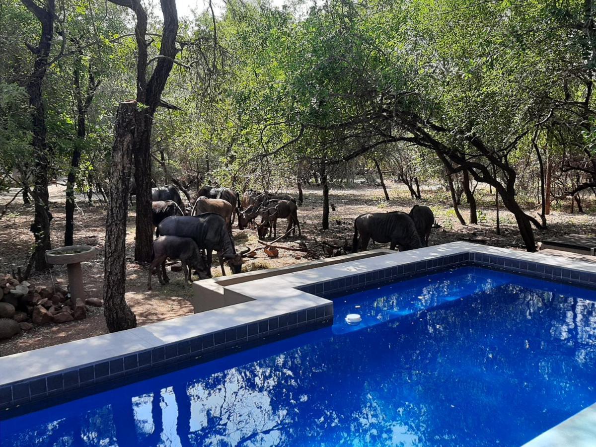 African Sky Villas Marloth Park Extérieur photo