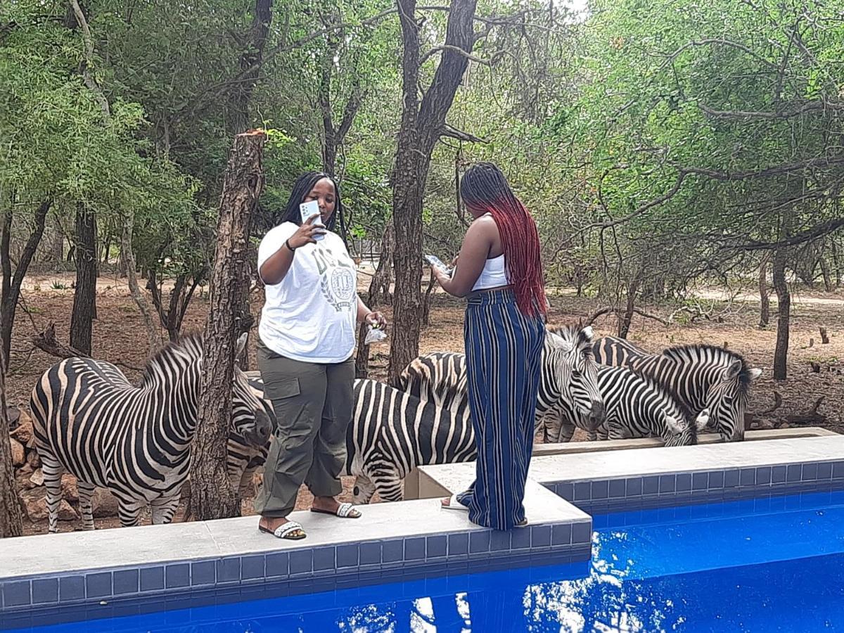 African Sky Villas Marloth Park Extérieur photo