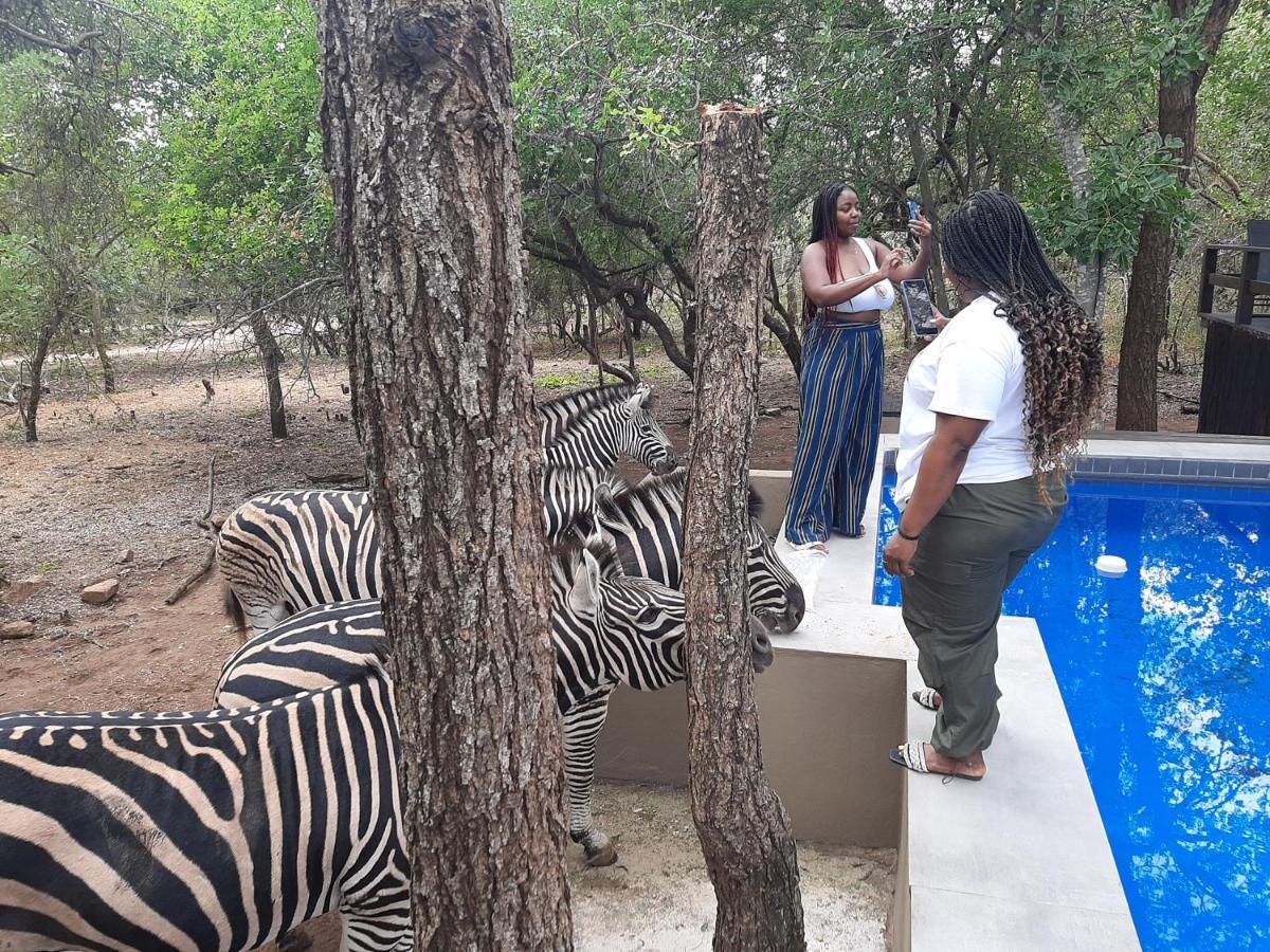 African Sky Villas Marloth Park Extérieur photo